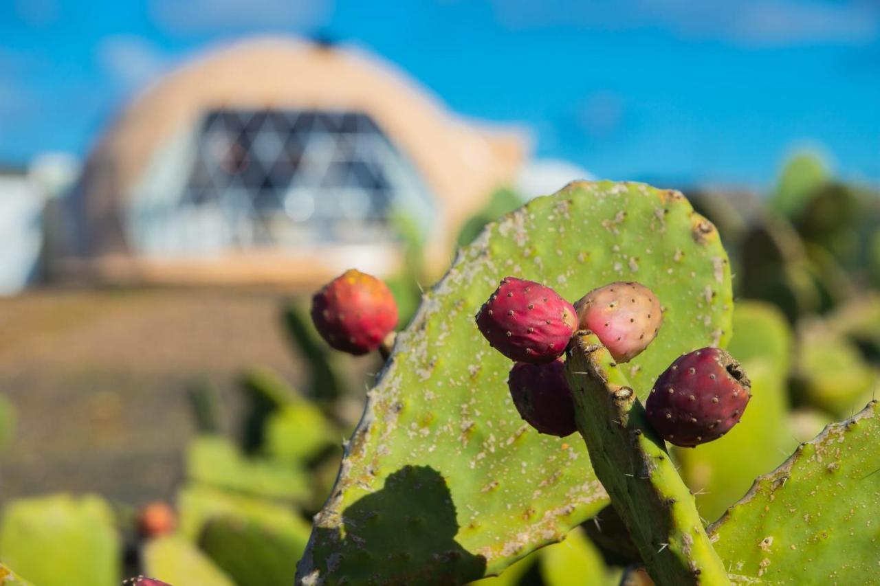 Luxurious Eco Dome Experience Lanzarote Parco vacanze